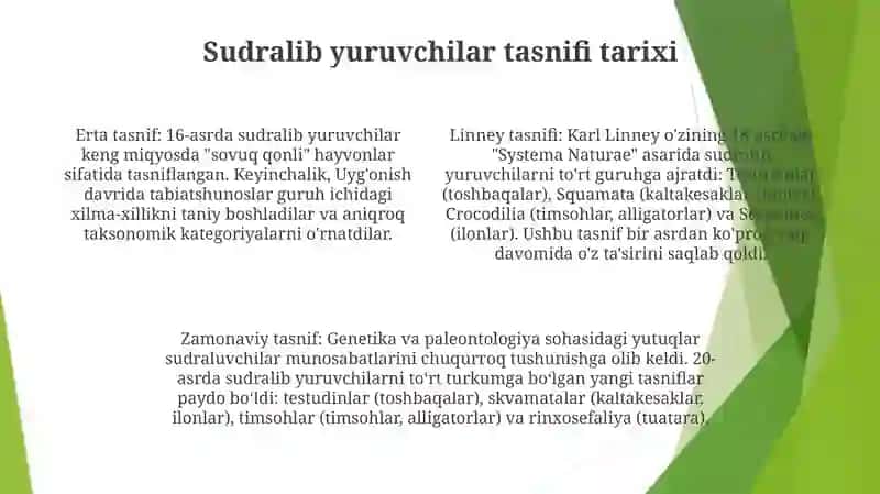 Reptiliyalarning Sistematikasi 3