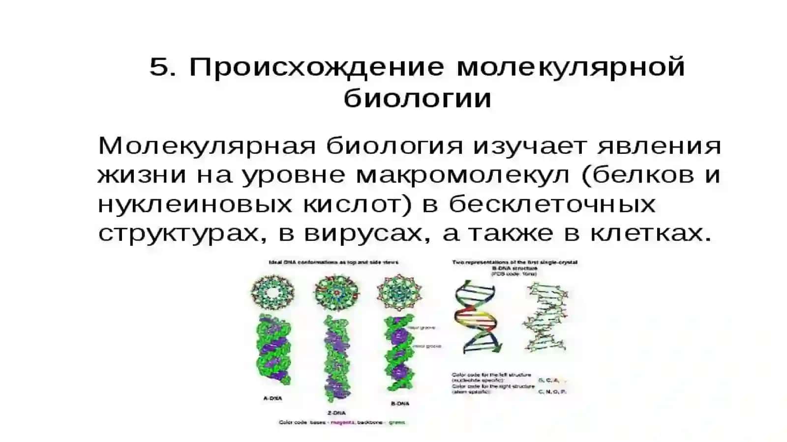 Введение в молекулярную биологию 3