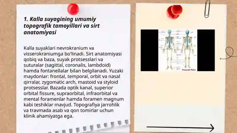 Kalla suyagining topografiyasi 3