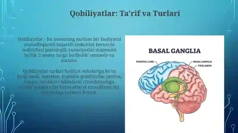 Qobiliyatlarning psixologik strukturasi 3