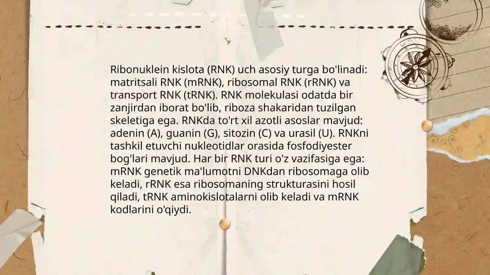 RNK 3