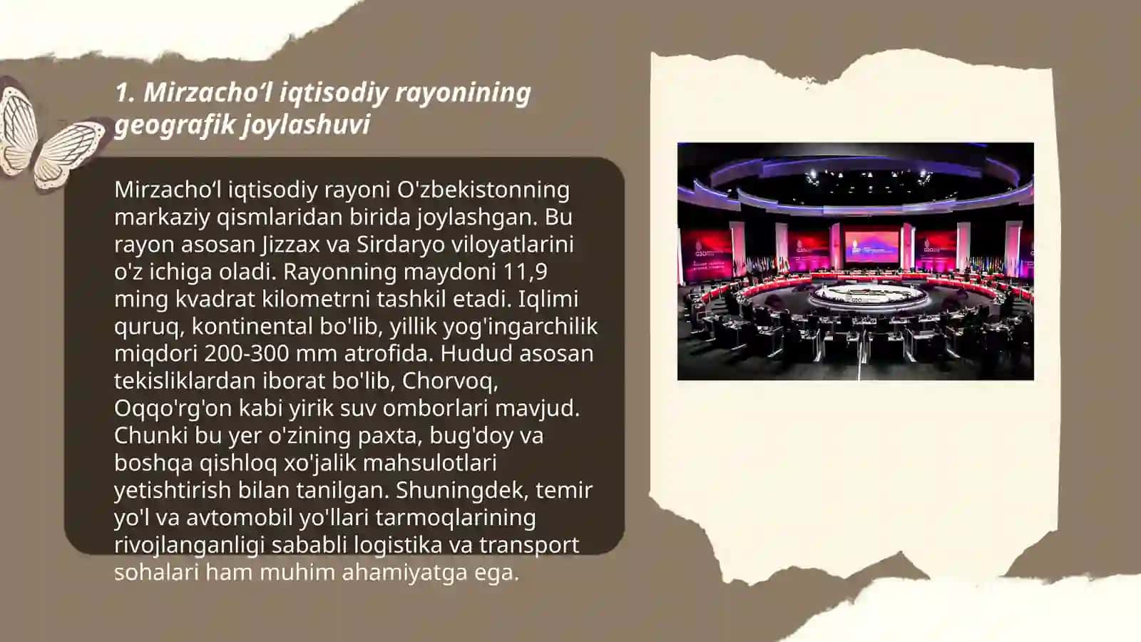 Mirzacho‘l iqtisodiy rayoni 3