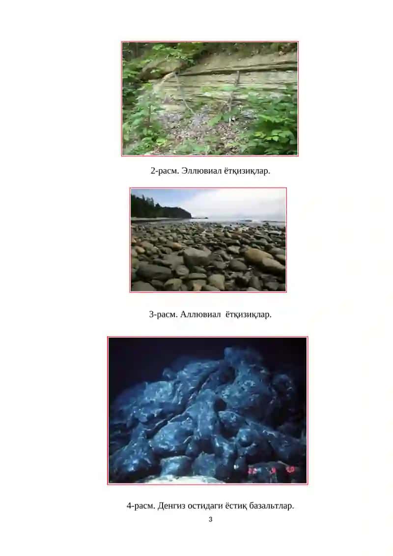 Жинсларнинг пайдо бўлиши шароитлари 3