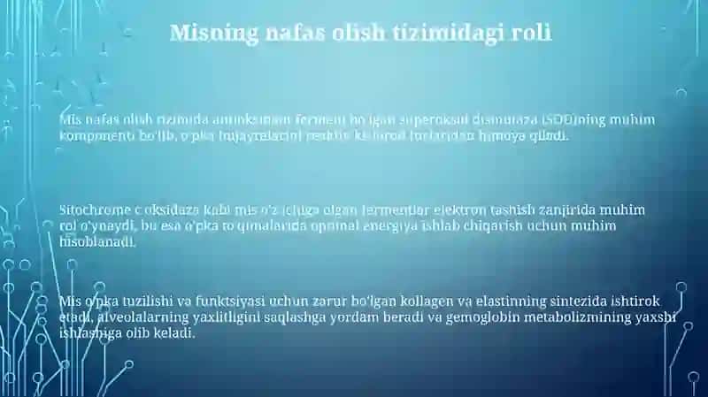 Mis Kopteriyaviylik Tizimi 3