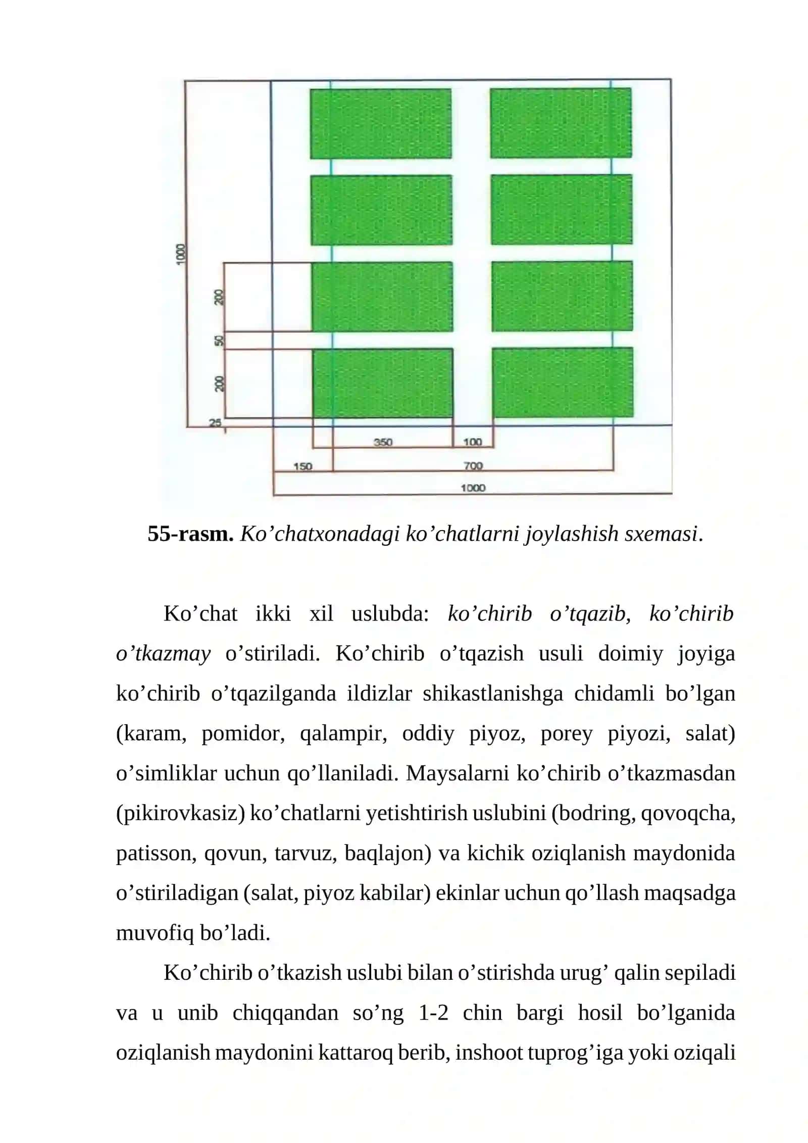 Ko’chat yetishtirish sharoitlari va jihozlar 3