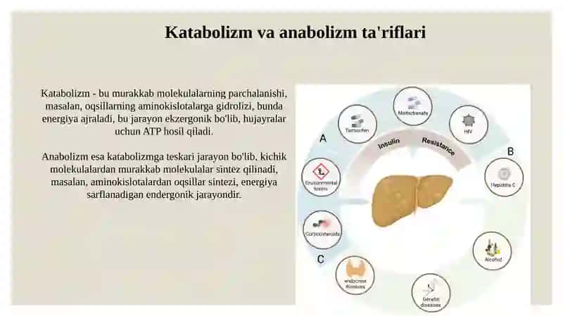 Katabolizm va anabolizm 3