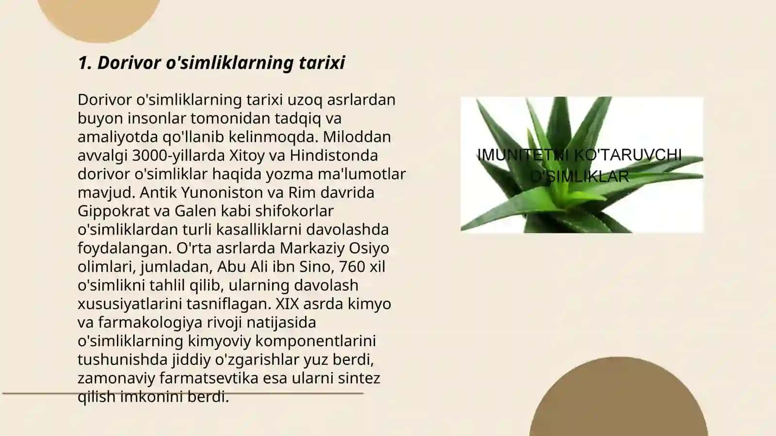 Dorivor o'simliklarning tarixi 3