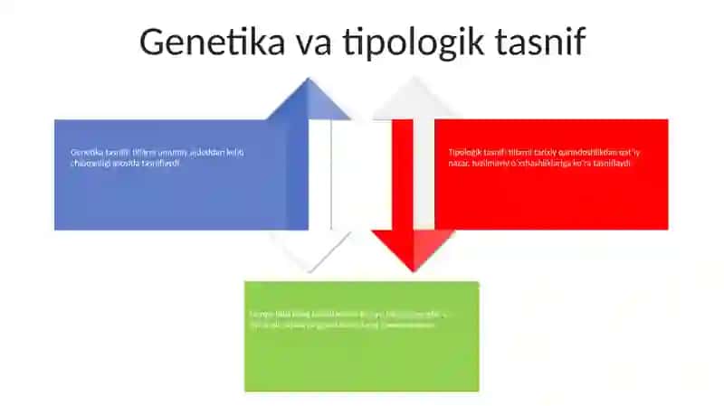 Dunyo Tillarining Tasniflanishi 3