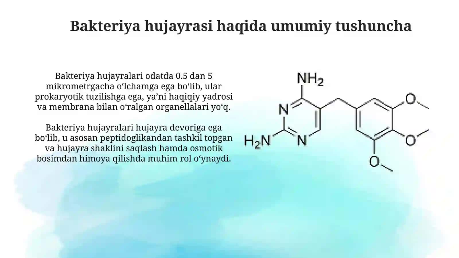 Bakteriyaning kimyoviy tuzilishi 3