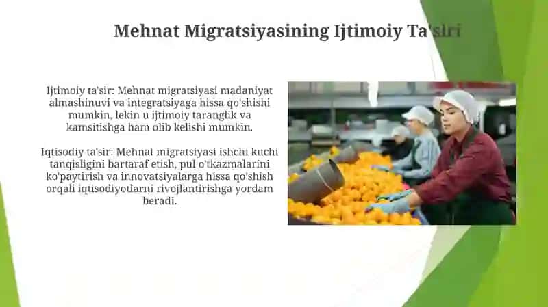 Mehnat Migratsiyasining Ijtimoiy Ta'siri 3