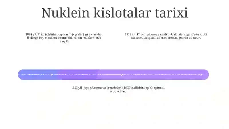 Nuklein Kislotalar 3