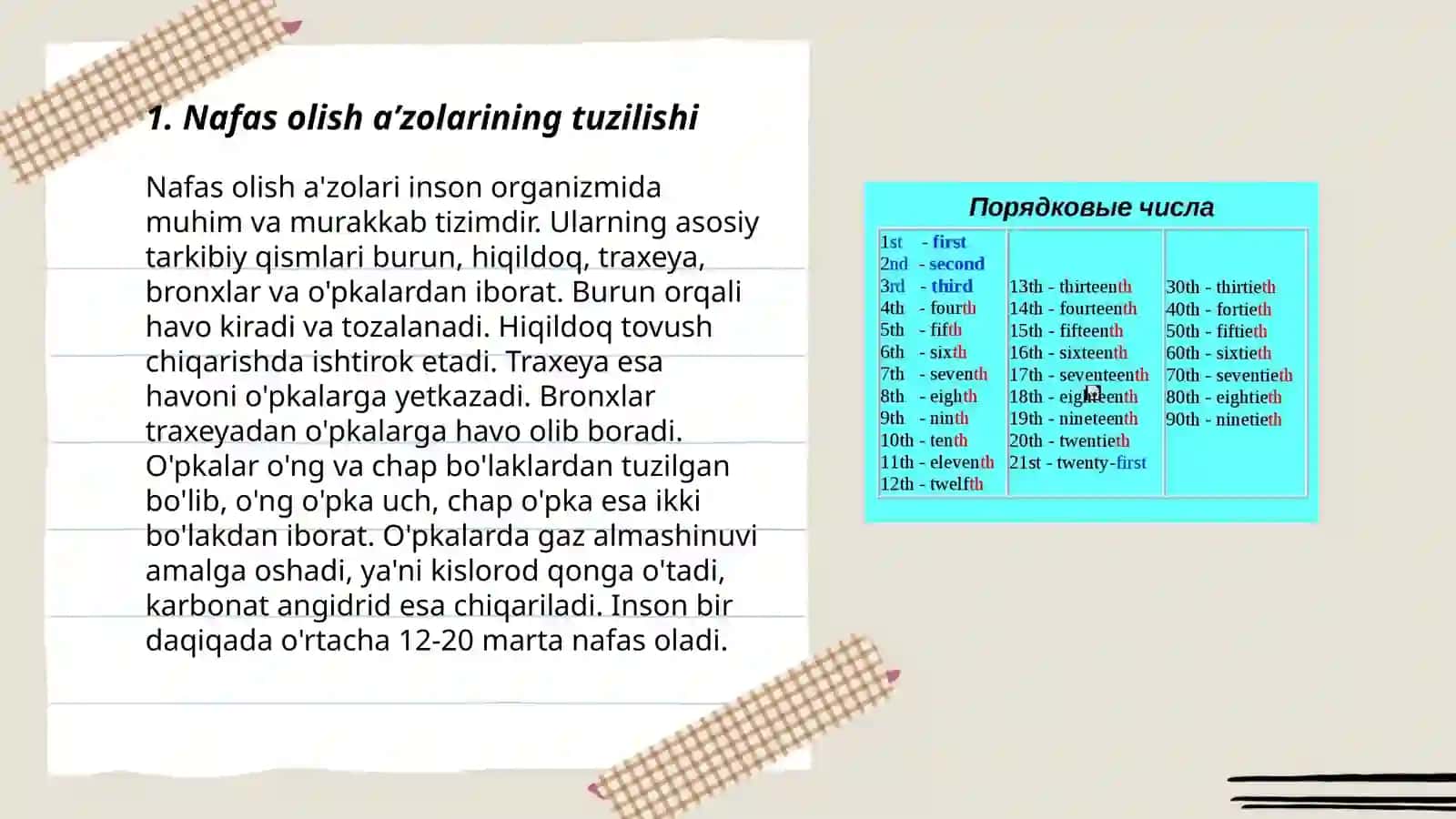 Nafas olish aʼzolari va terini himoya qilish vositalari 3