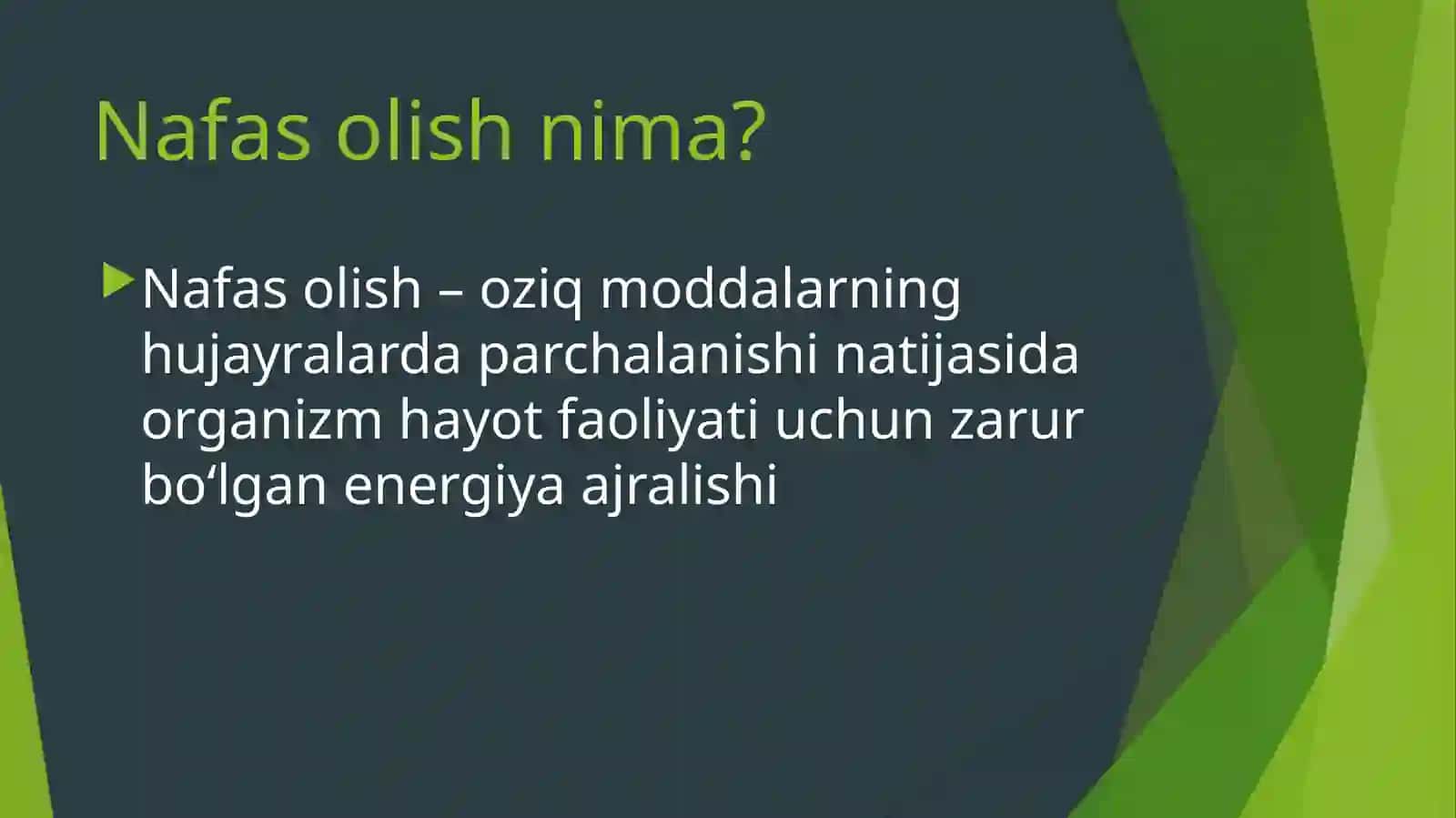 O‘SIMLIKLARNING NAFAS OLISHI 3
