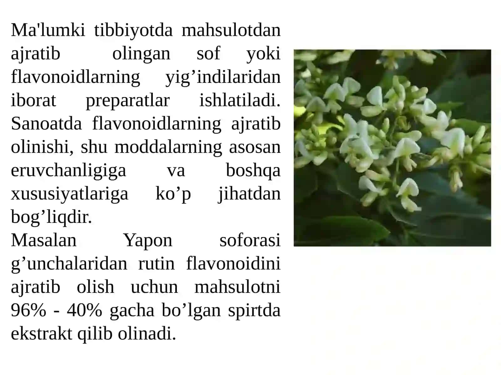 Flavonoidlar haqida umumiy tushuncha, tasnifi 3