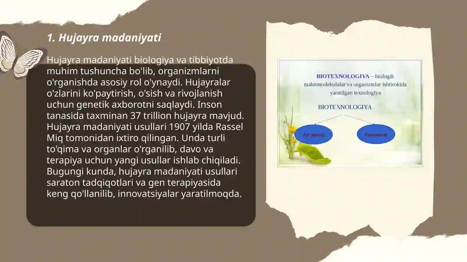 Hujayra madaniyati 3