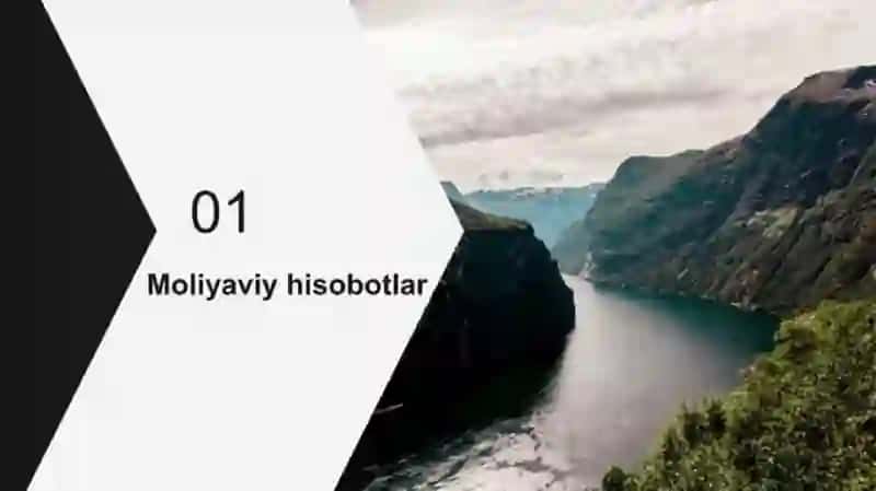 Moliyaviy hisobotlarni mazmuni turlari va shakllari 3