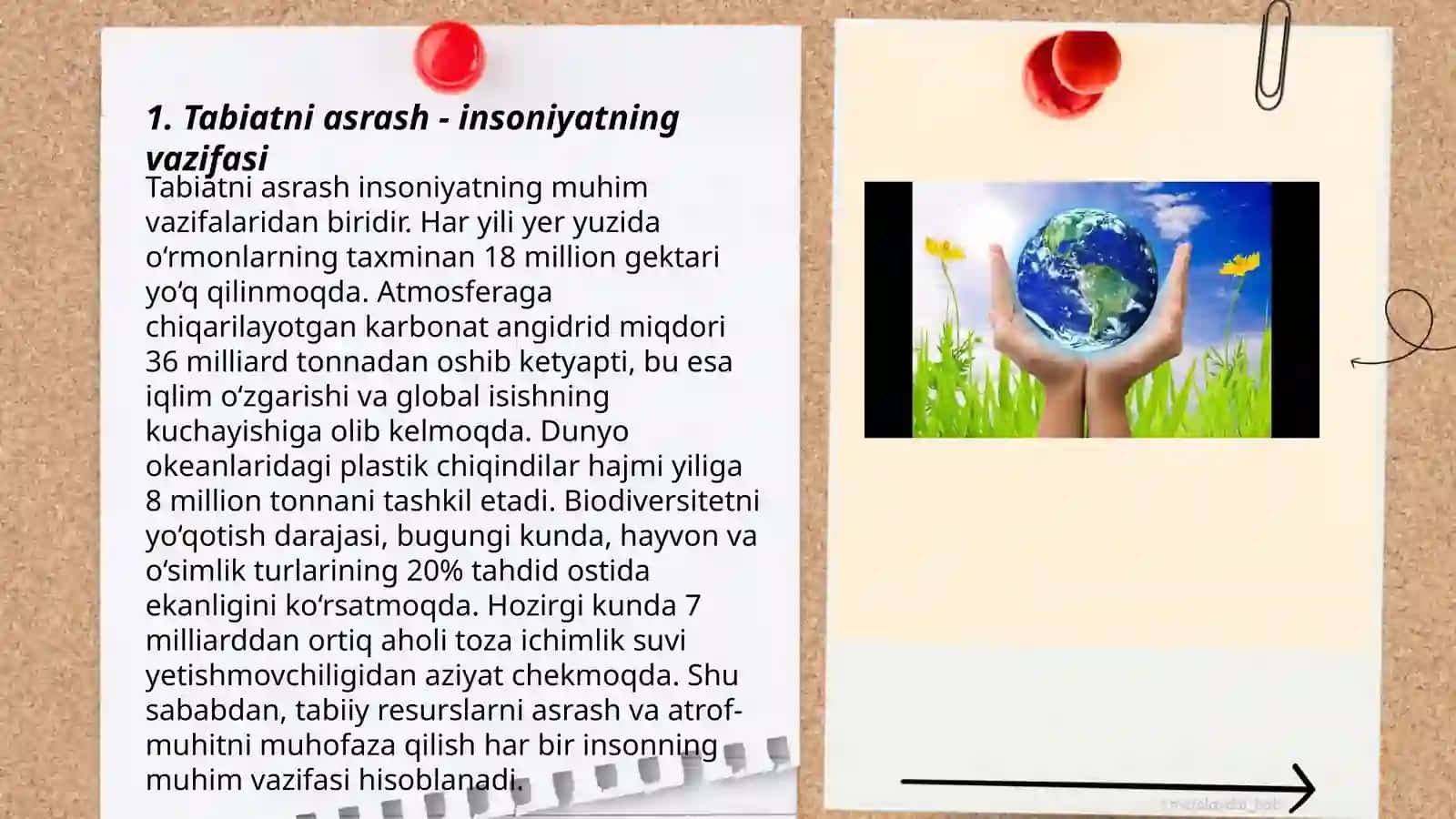 Tabiatni asrash - hayotni asrash 3
