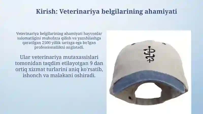 Veterinariya ramzlarining kelib chiqishi 3