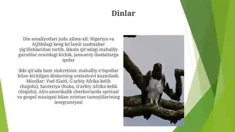Afrika va Amerika qitasining oʻxwashliklari va farqlari 3