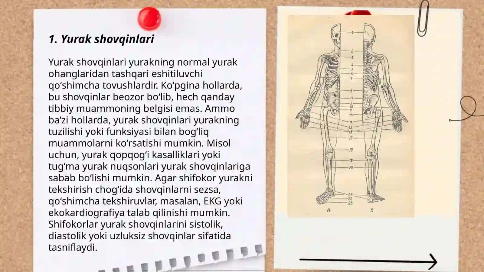 Yurak shovqinlari 3