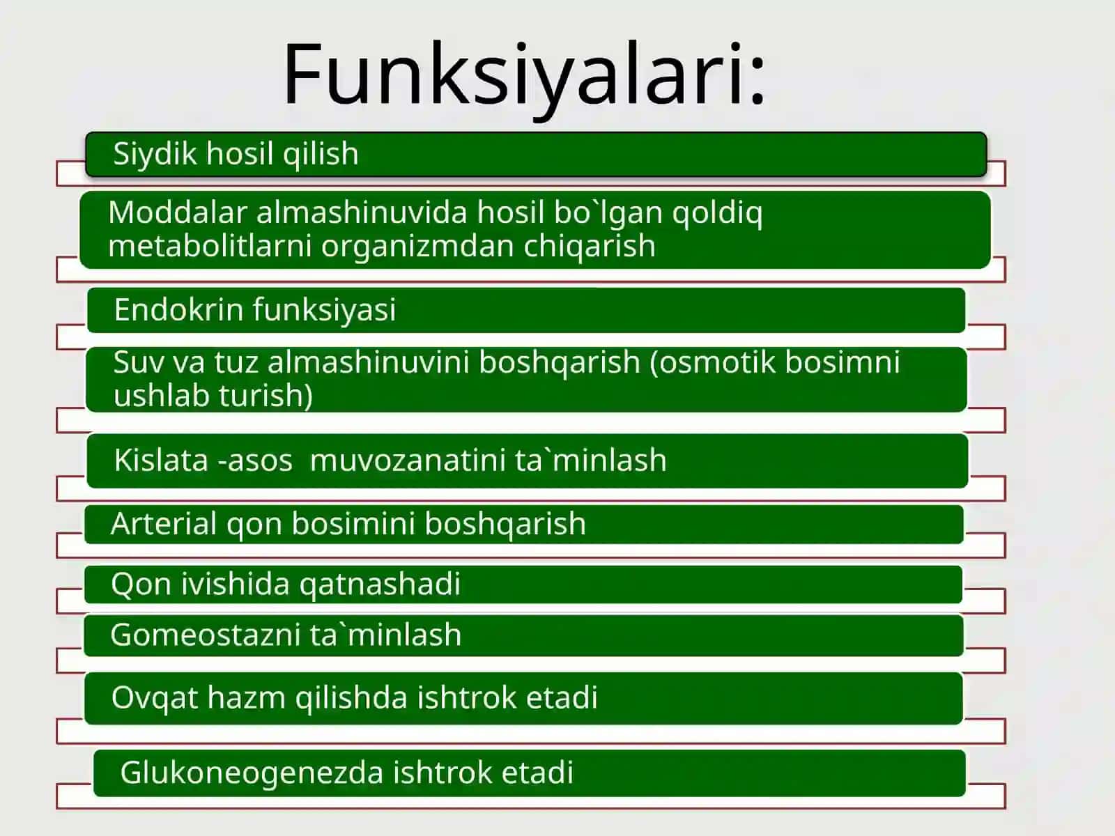 Systemaurinarium 3