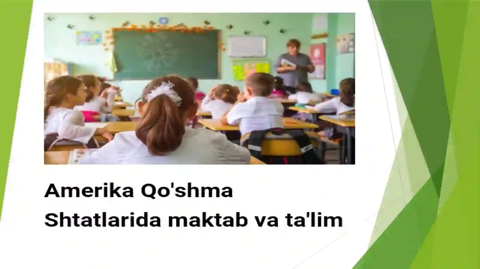 Amerika Qo’shma Shtatlarida ta’lim tizimi 3