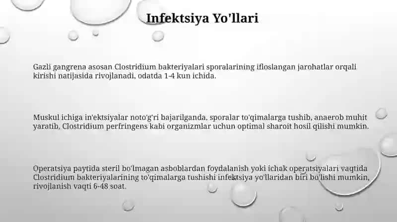 Òpka gangrenasi etiologiyasi klinikasi diagnostikasi va davolash usullari 3