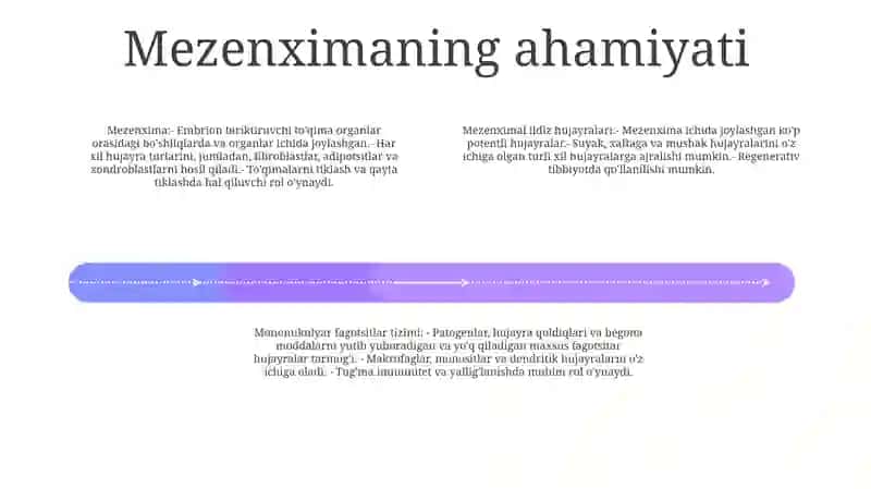 Mezenximaning Tuzilishi Va Ahamiyati 3