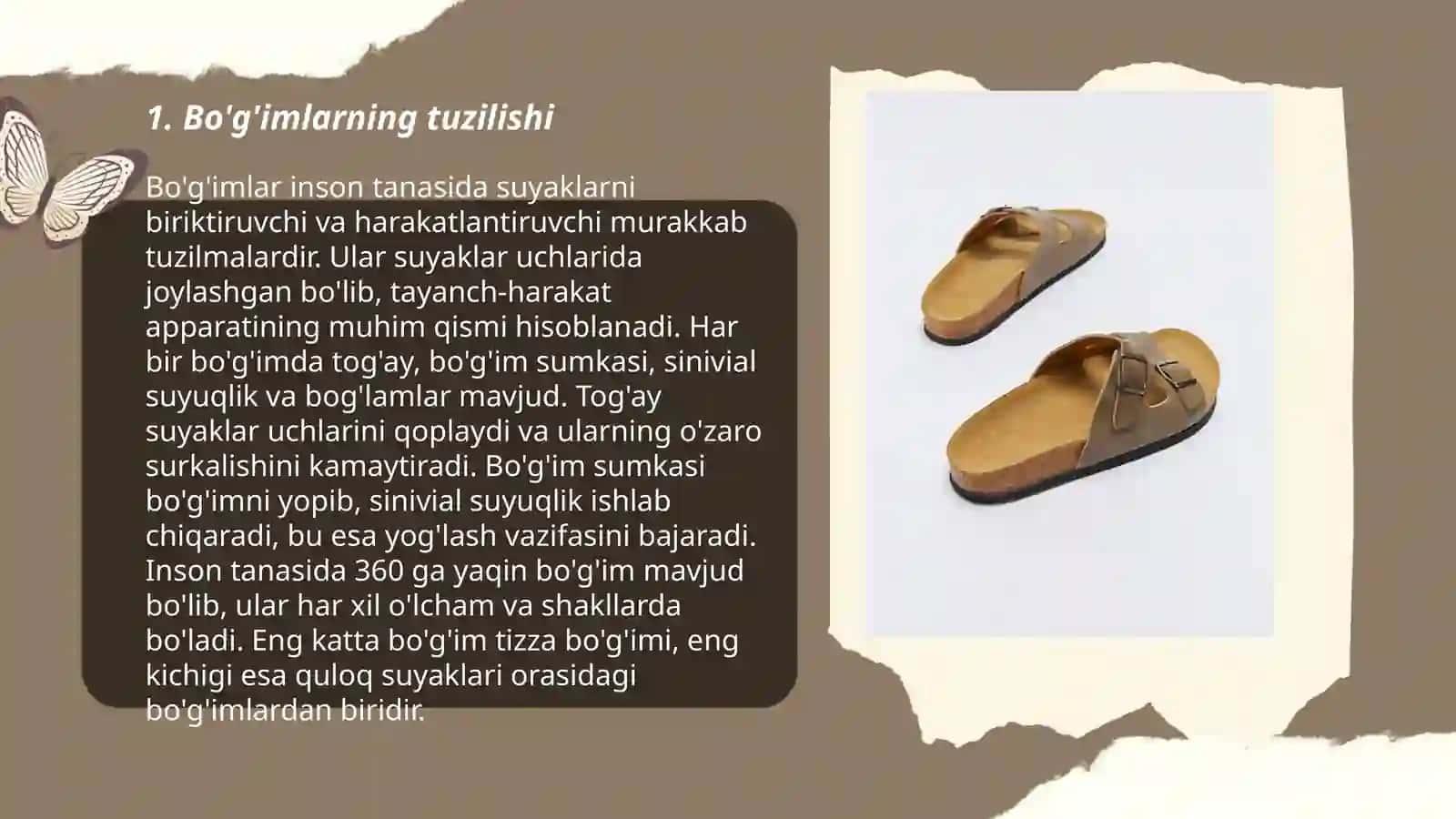 Bo'g'imlar 3