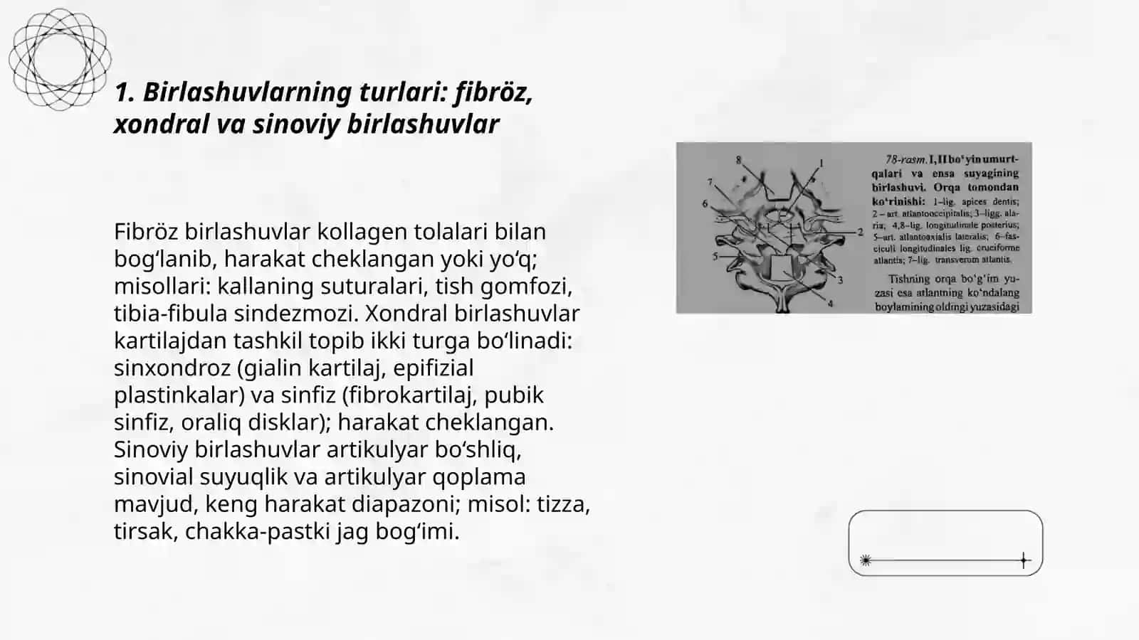 Tana suyaklarini birlashuvi va ularning bolalardagi xususiyatlari 3