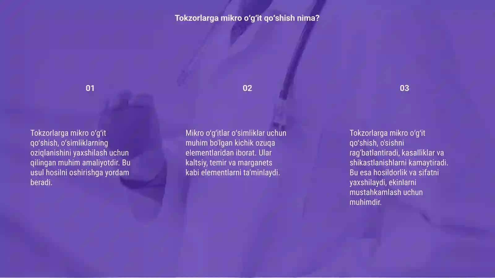 Tokzorlarga mikro oʻgʻit qoʻlash 3