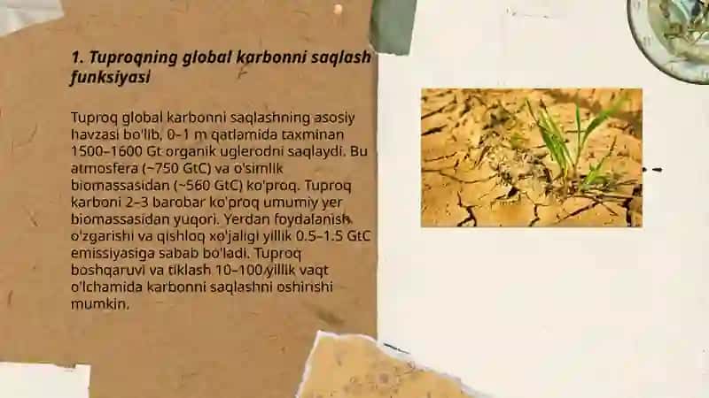 Tuproqning global ekalogik funkisiyalari 3