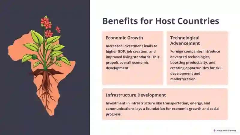The Power of Foreign Investment 3