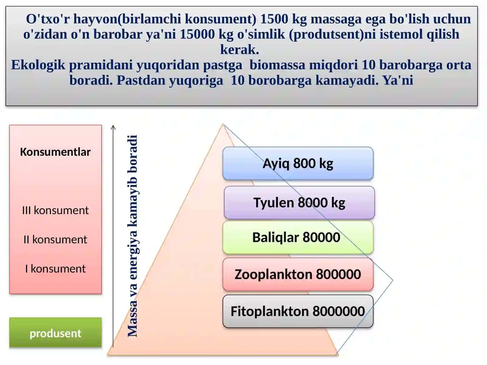 Ekologik piramidaga oid masalalaryechish 3