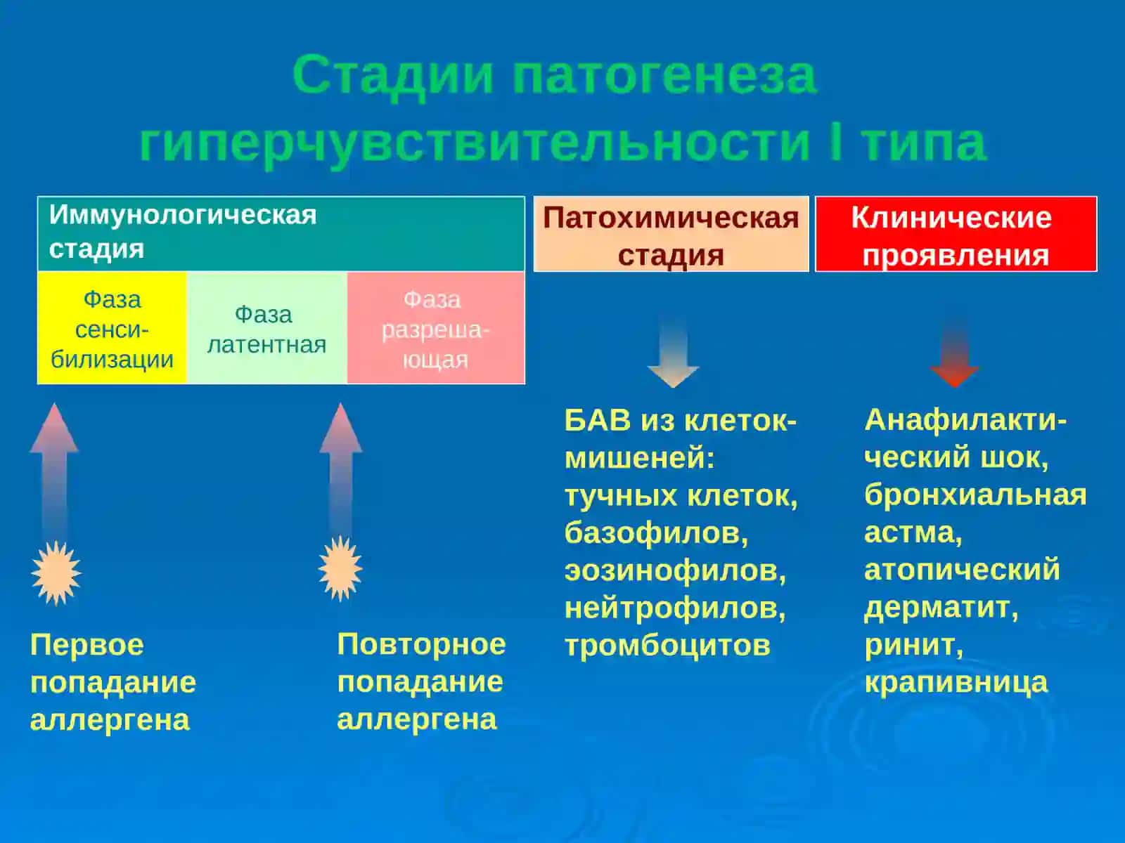 Противоаллергические средства 3