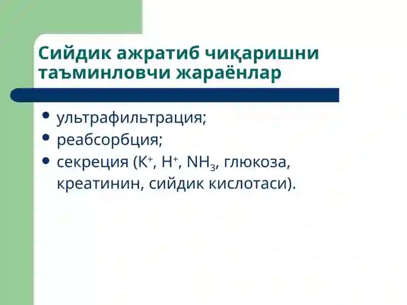 Буйракларпатофизиологияси 3