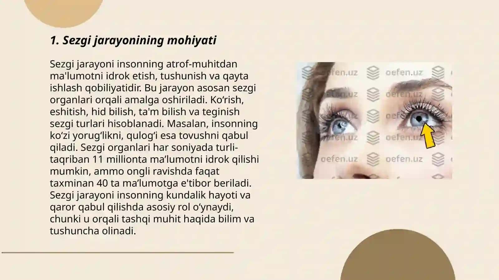 Sezgi jarayoni haqida tushuncha 3