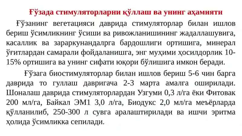 Пахта ҳосилинийиғиб-териб олишга тайёргарлик кўриш ва териш 3
