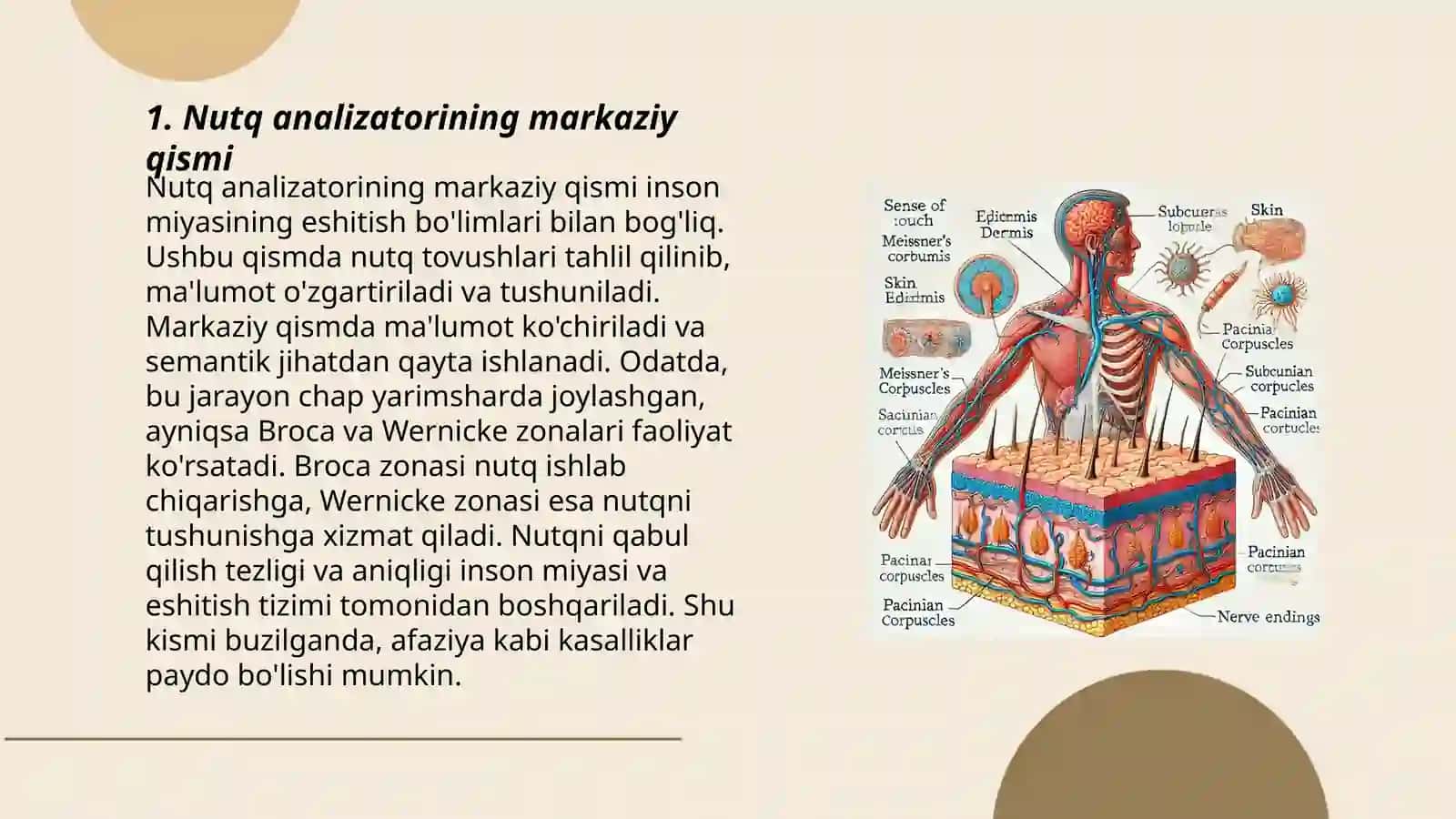 Nutq analizatorining markaziy va pereferik qism faoliyati 3