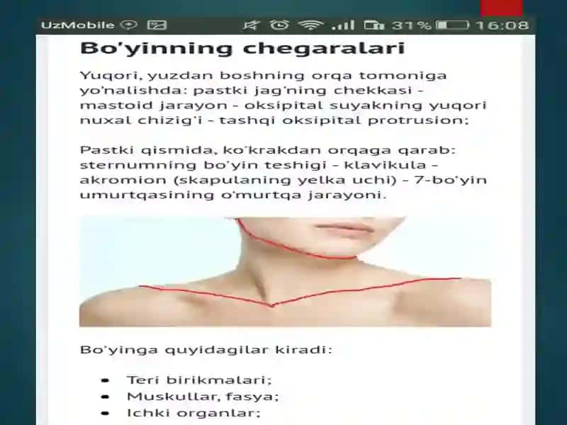 Bo'yin flegmonasi 3