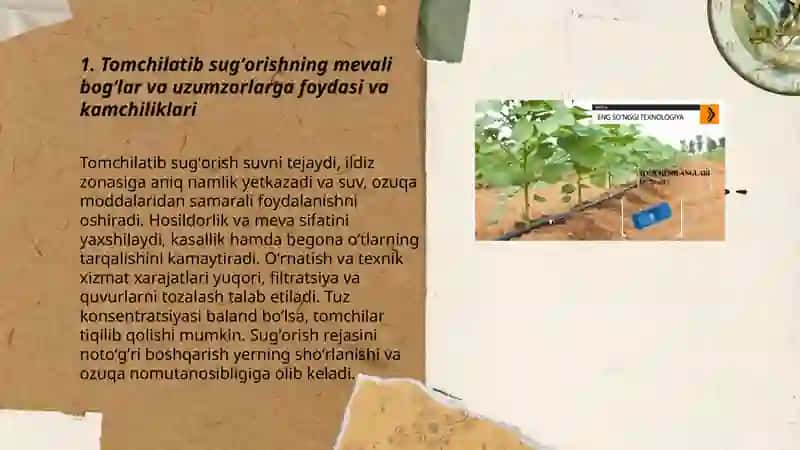 Tomchilatib sugʻorish usullari 3