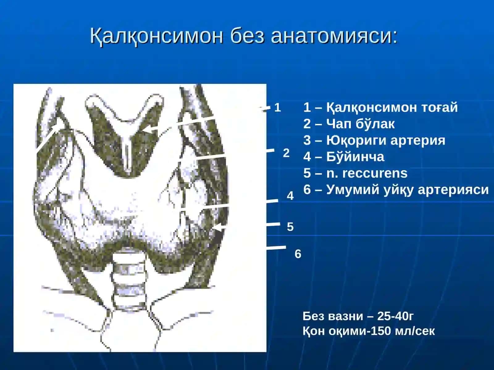 ҚАЛҚОНСИМОНБЕЗ КАСАЛЛИКЛАРИ 3