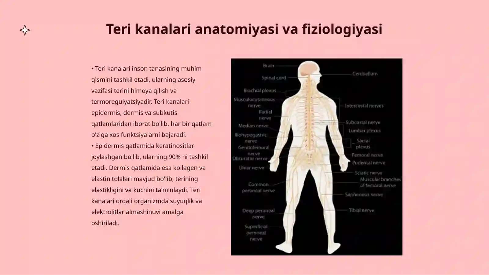 Teri kanalari laborator diagnostikasi 3