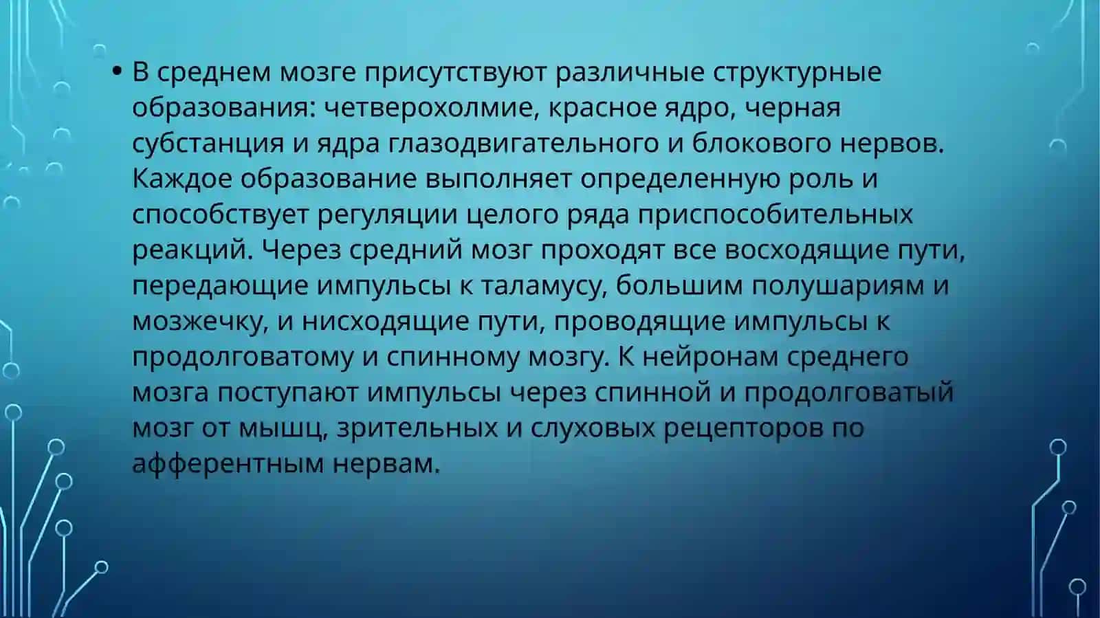 Физиология Центральной Нервной Системы 3