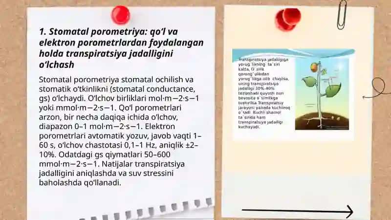 Transpiratsiya jadalligini aniqlashda zamonaviy asbob uskunalardan foydalanish 3