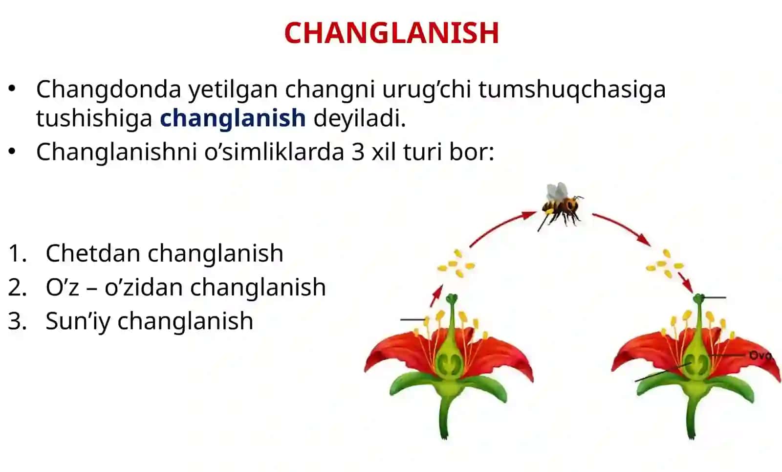 Botanika 6-dars (Botany Lesson 6) 3