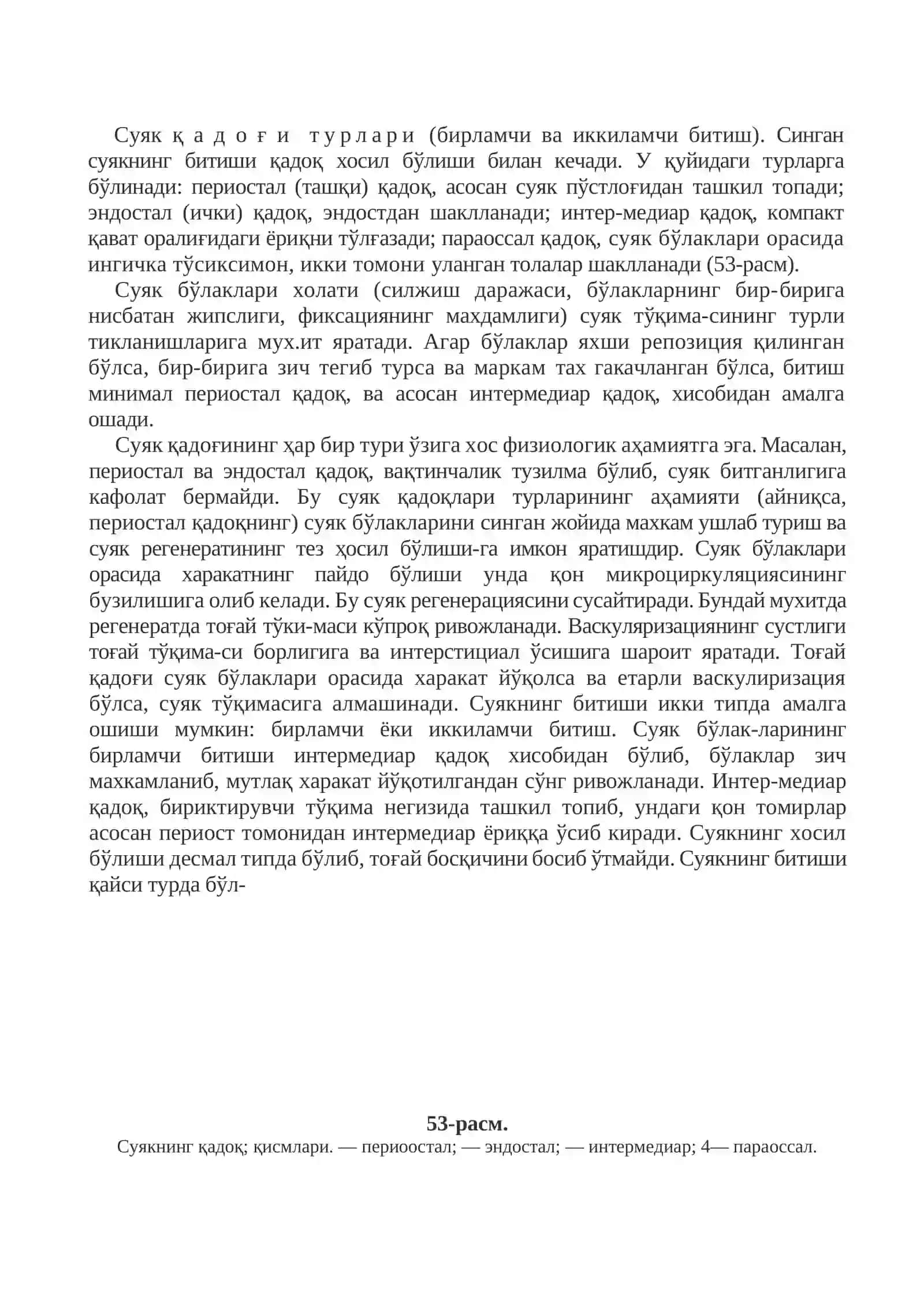 Синган суяклар битишининг умумий қонуниятлари 3