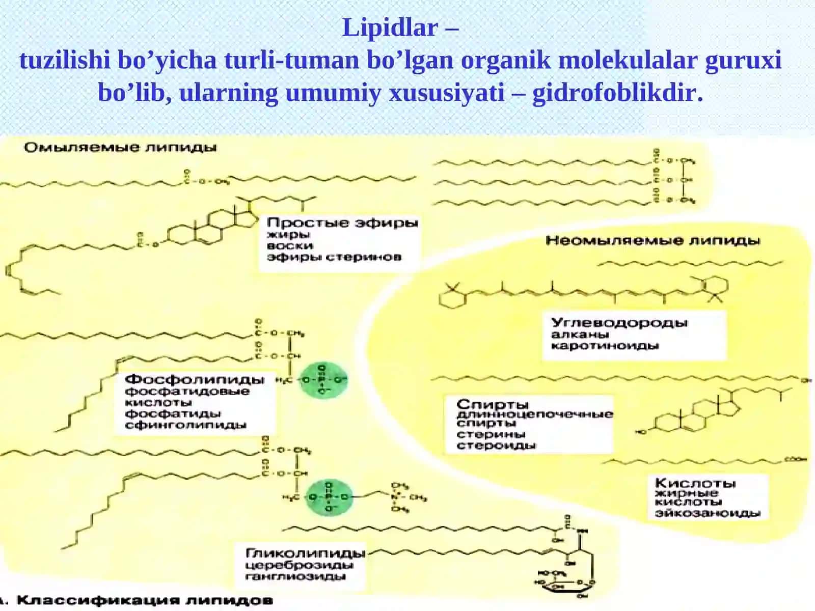 LIPIDLАR BIOKIMYOSI 3