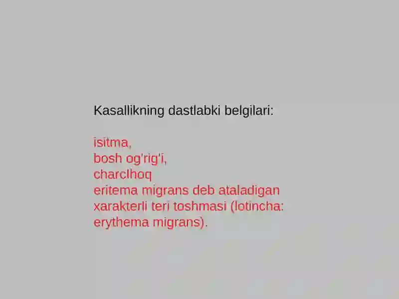 Lyme Borreliosis 3