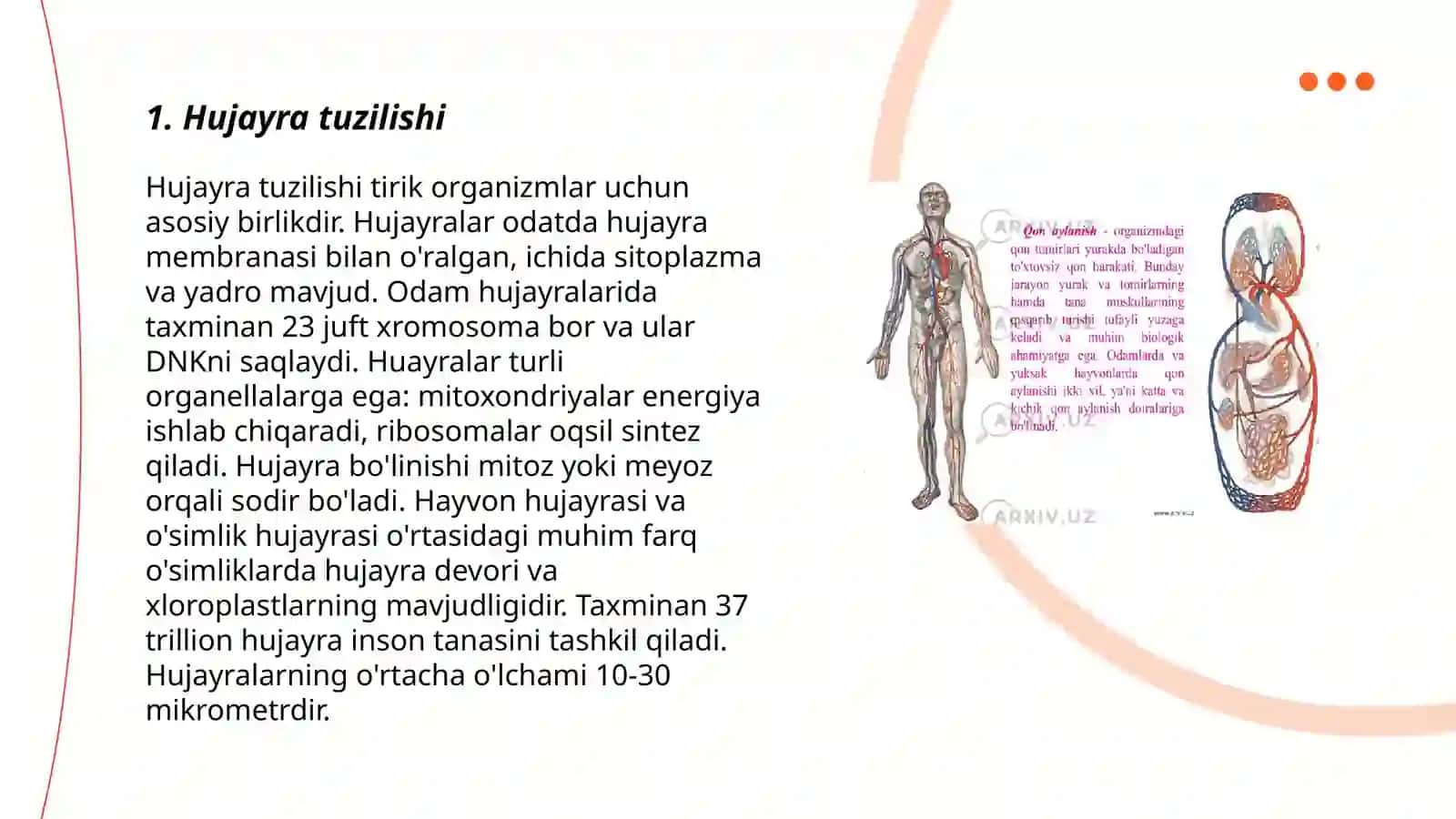 Hujayra tuzilishi 3